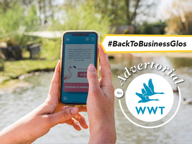 Become a wetland hero with Slimbridge Wetland Centre’s free app, launching in June 2021.