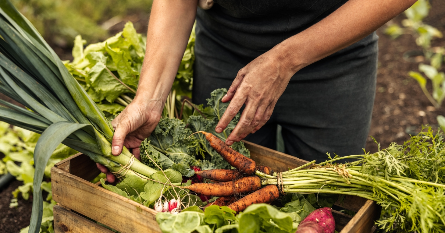 Understand how the latest Bank of England forecast will affect farmers and agri-tech firms at a breakfast in the Forest of Dean