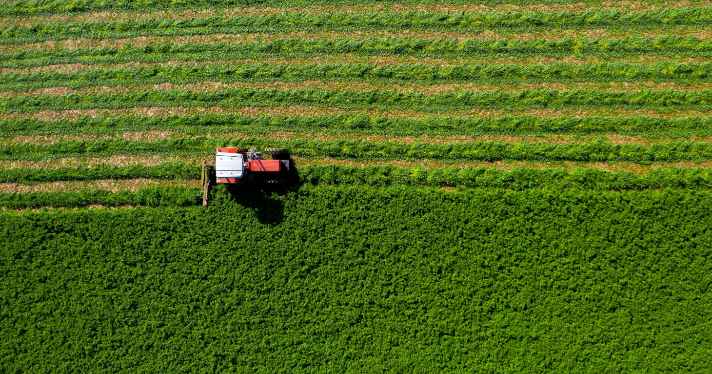 Discover the many methods emerging in regenerative agriculture in the Cotswolds