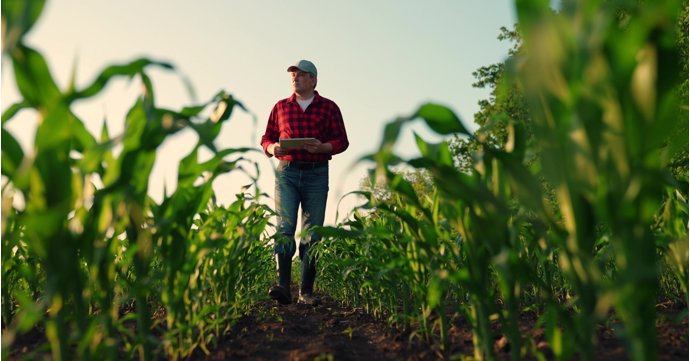 Get ready for the 2026 inheritance tax changes with an online webinar for landowners
