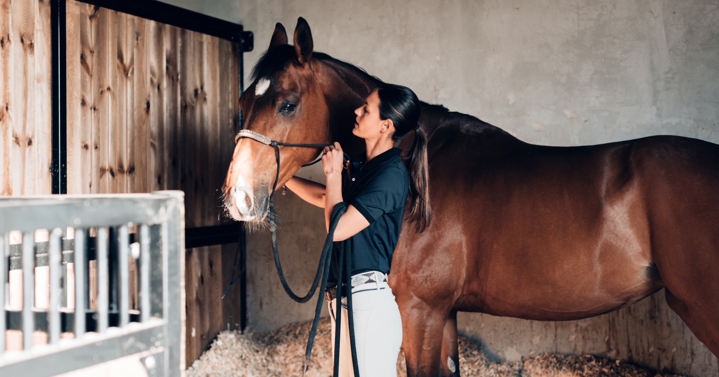 Gloucestershire university launches foundation degree to fill skills gap in equine management