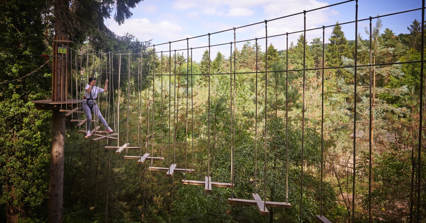 Go Ape reveals how a Gloucestershire firm is key to its growth