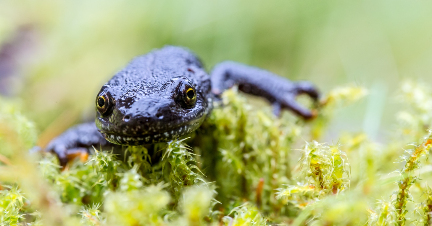 Multi-billion agri firm buys Gloucestershire business