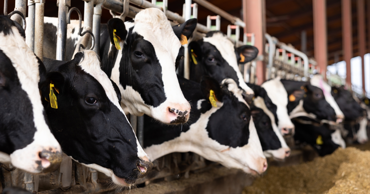 Hartpury University and College intalls state-of-the-art robotic milking system at its campus farm