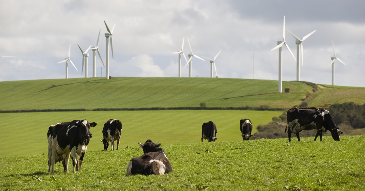 How B Corp businesses balance purpose and profitability