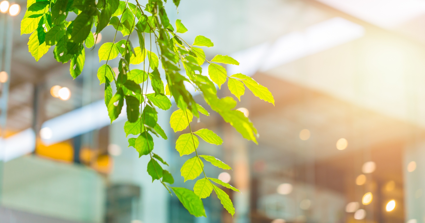 How Gloucestershire businesses will benefit from embracing the B Corp movement