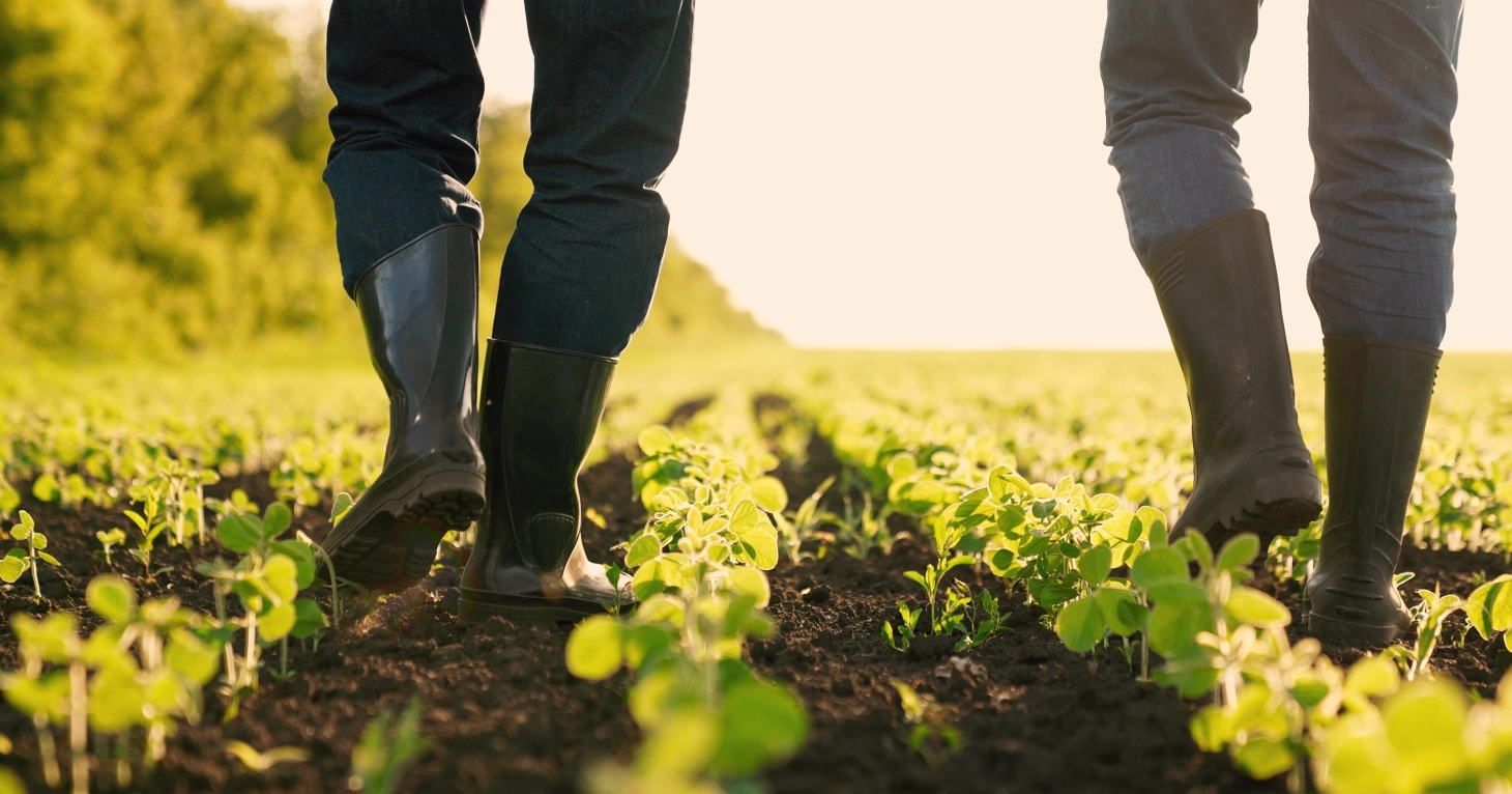 Major inheritance tax changes will go ahead with draft legislation planned for autumn 2025 budget