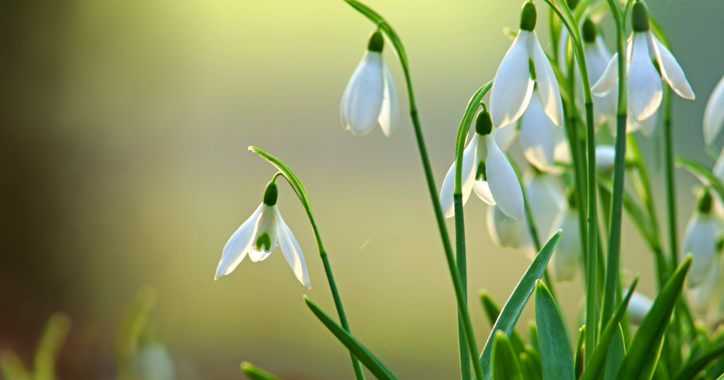 7 key Gloucestershire business events for your diary in January 2025