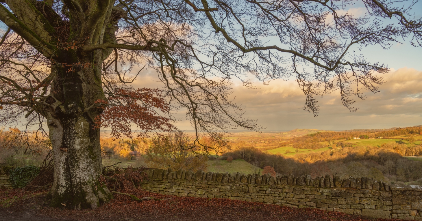 5 key Gloucestershire business events for your diary in November 2024