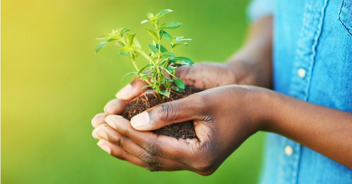 Learn about carbon auditing, renewable energy and how to get to net zero with The Growth Hub