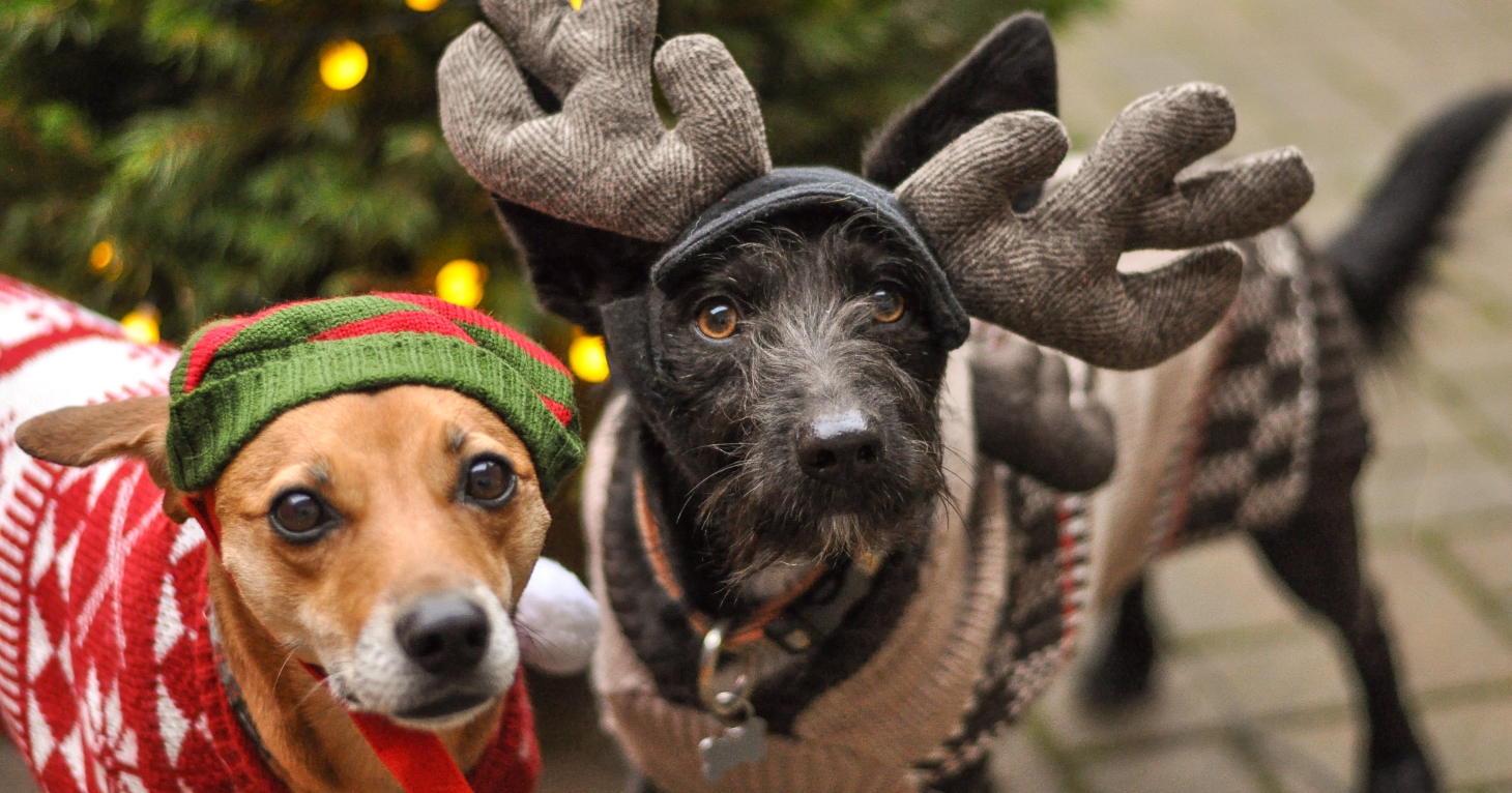 7 most exciting new openings coming to Gloucestershire in December 2023