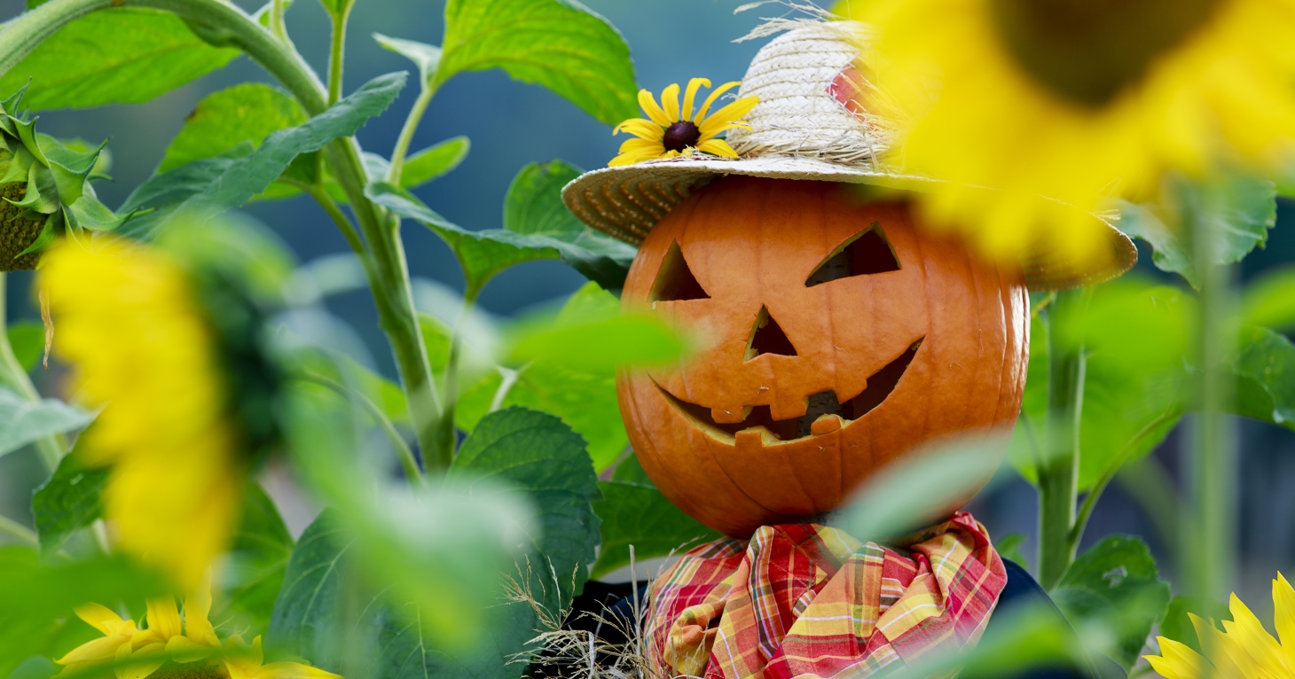 Popular Gloucestershire attraction calls on local businesses to make a scarecrow for its autumn trail