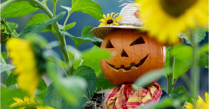 Popular Gloucestershire attraction calls on local businesses to make a scarecrow for its autumn trail