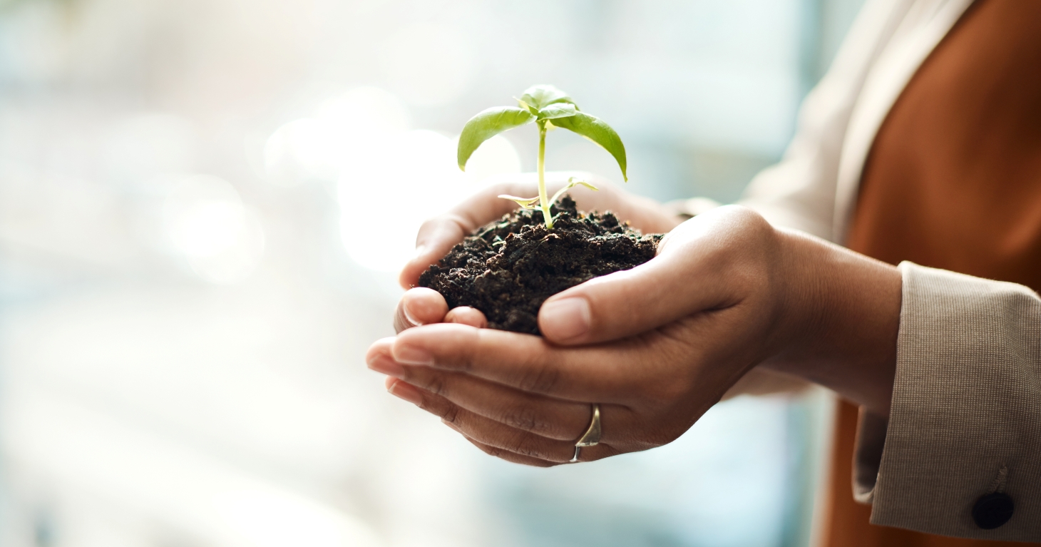 Government's spring statement could bring positive growth to Gloucestershire, says tax expert