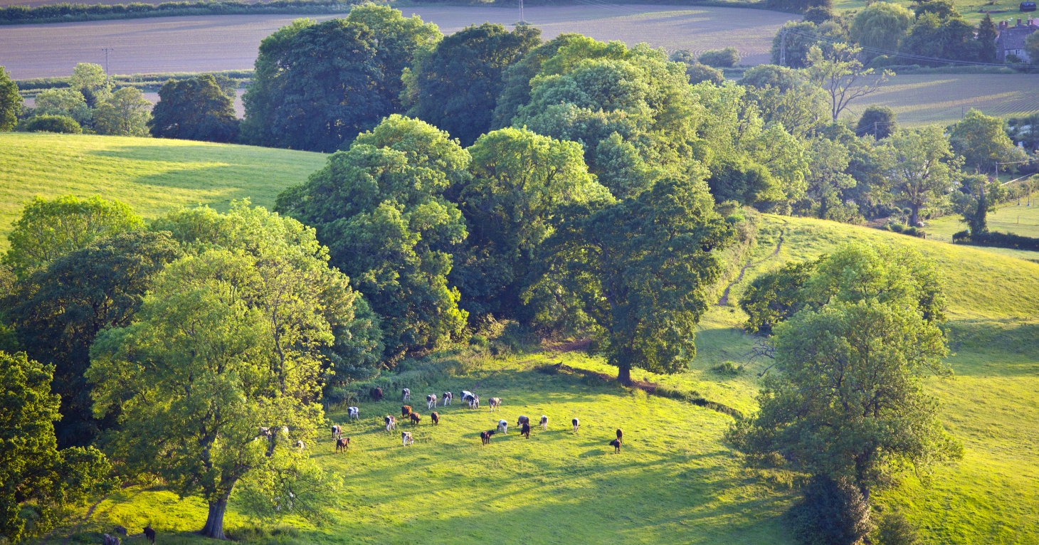 Rural businesses and community groups in Stroud invited to apply for share of £120,000 fund