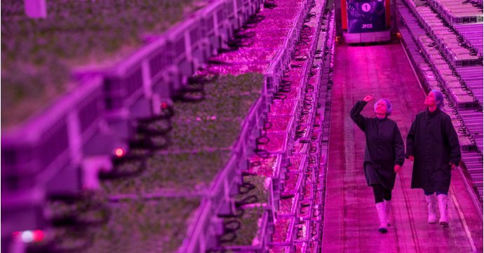 World's most advanced vertical farm opens in Gloucestershire