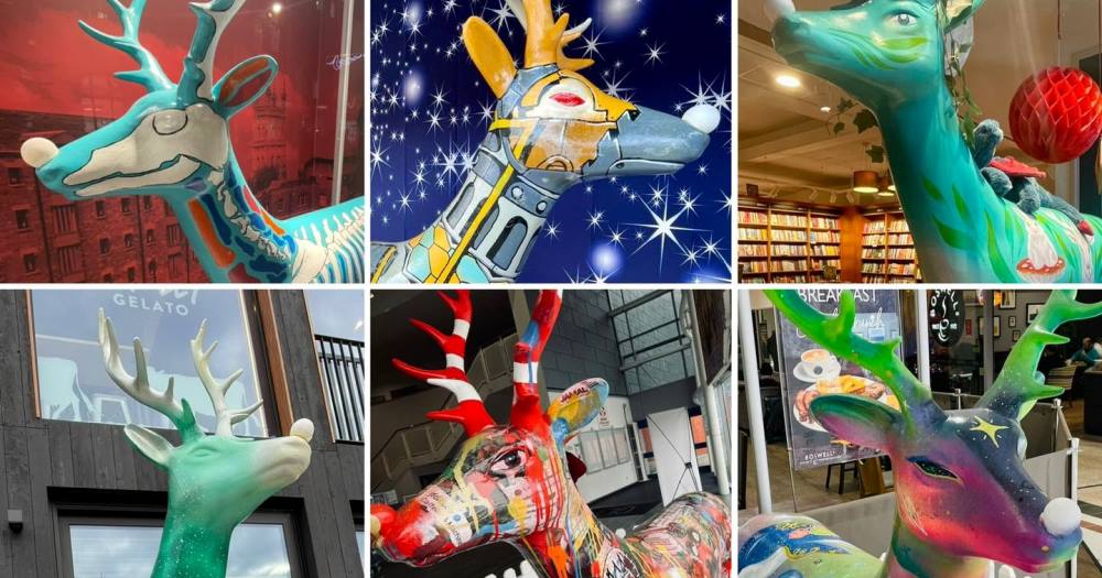 Gloucestershire charities to benefit from runaway reindeer auction