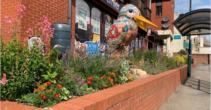 Inspiring new 'dry garden' in Stroud showcases eco-friendly planting