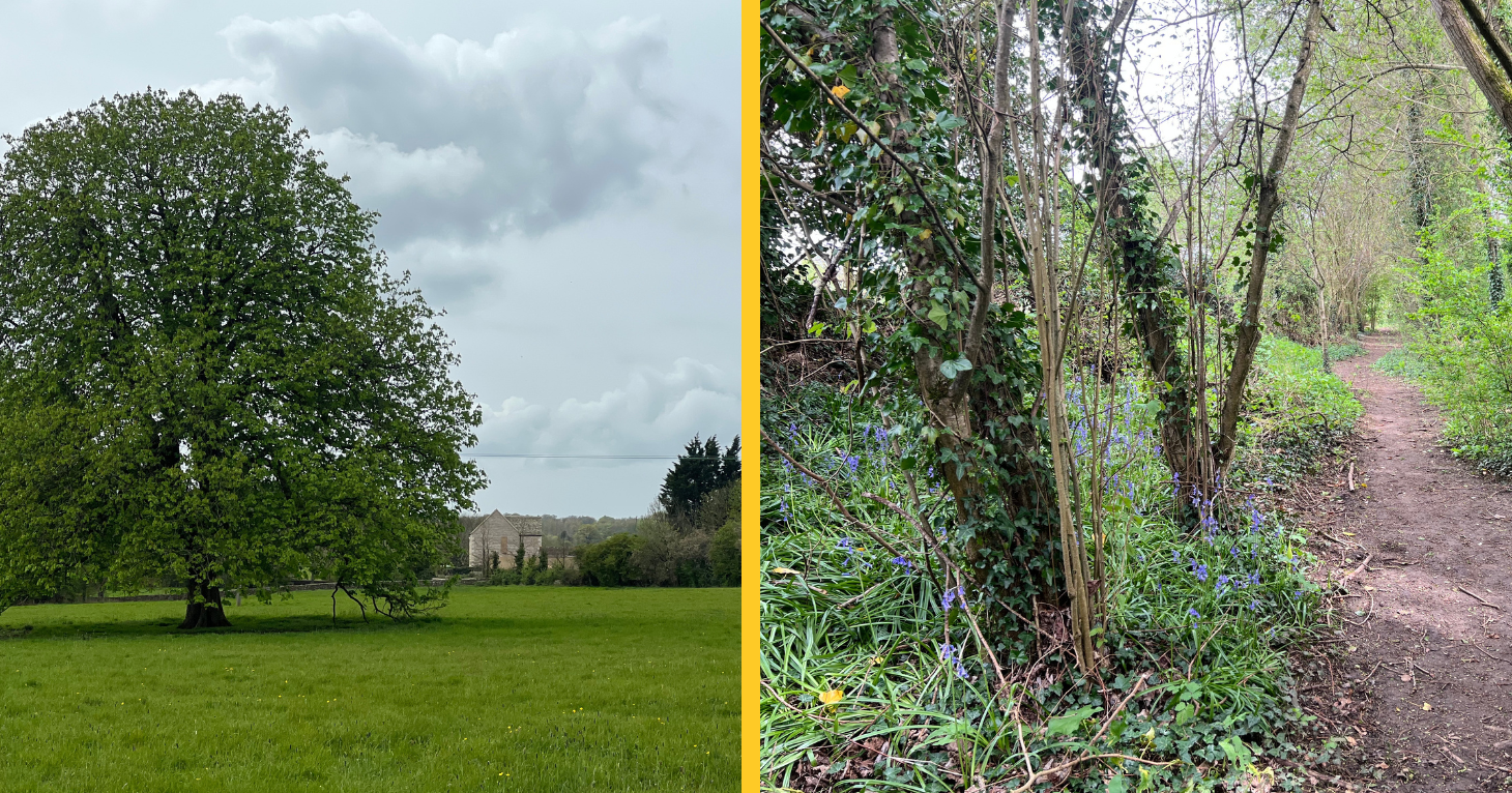 Community bid to safeguard land next to King Charles III's Cotswolds estate rejected