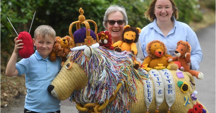 Knitted lion cub stitched to life by Quedgeley community group