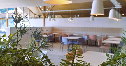 First look at Batsford Arboretum's revamped café