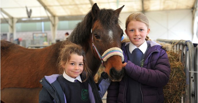 CountryTastic at Three Counties Showground