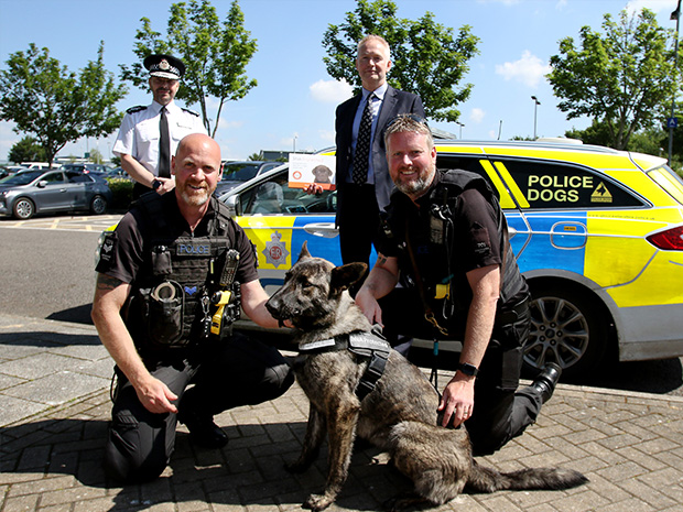 Gloucestershire Constabulary becomes the first force to use DNA to tackle dog thefts
