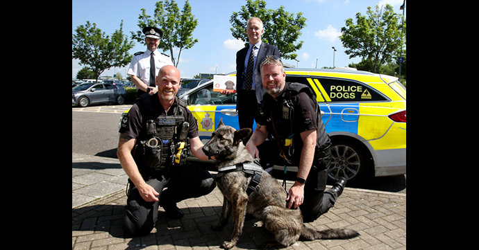 Gloucestershire Constabulary becomes the first force to use DNA to tackle dog thefts