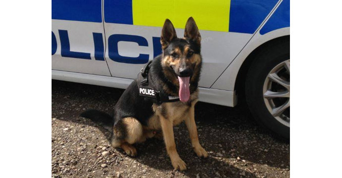 Police dogs need new places to train