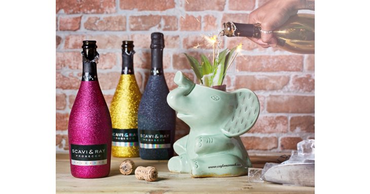 Win the ultimate feast and sip on the signature Wild Bling Ting Cocotail at The Coconut Tree in Cheltenham.