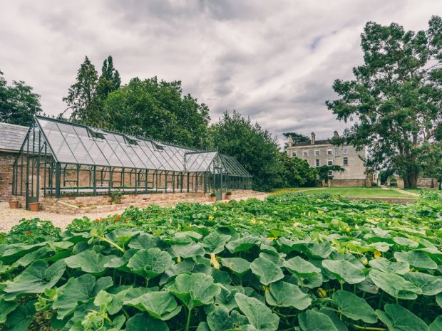 The Parrot Cage's menu includes vegetables grown in Elmore Court's walled garden.