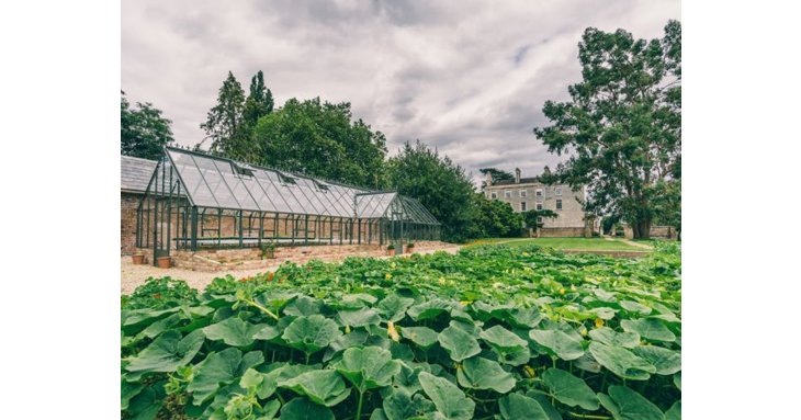 The Parrot Cage's menu includes vegetables grown in Elmore Court's walled garden.