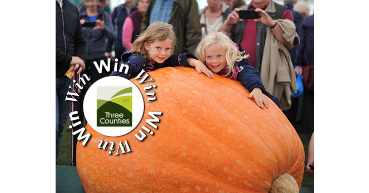 Enjoy a family day out at the Malvern Autumn Show, complete with an artisan food hamper and an onstage cooking demo with Rosemary Shrager.
