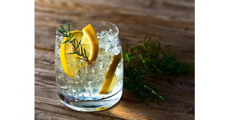 Sample the delicious offerings at Gloucester Gin Festival 2018.
