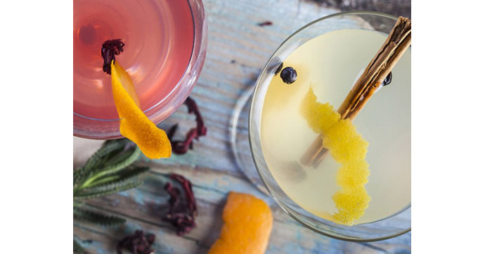 Sibling Gin Workshop at Vinegar Hill