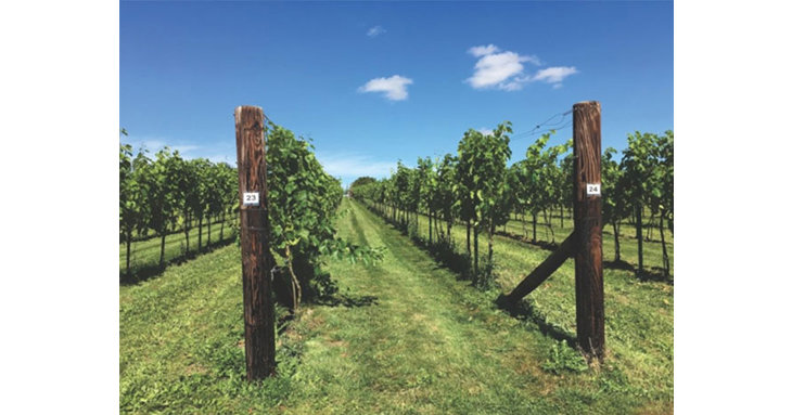 Try a host of wines grown and produced on the Poulton Hill Estate near Cirencester.