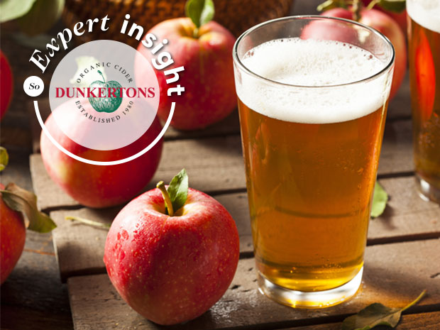 Dunkertons Cider expert insight: Picking the perfect cider this summer