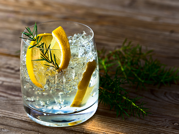 SoGlos has rounded up some of the best pubs for gin in Gloucester.