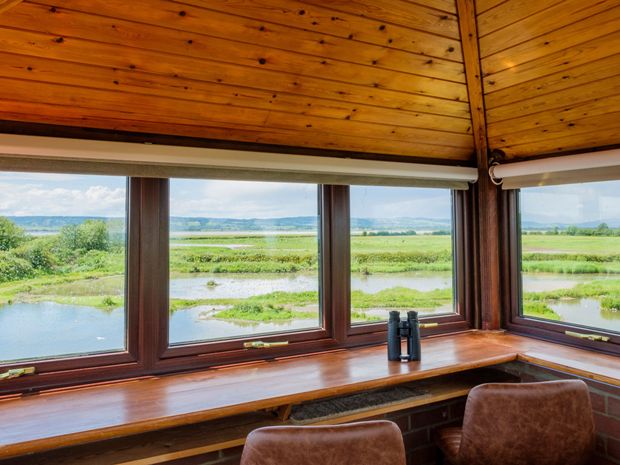 Guests can look out of Sir Peter Scott's viewing tower over WWT Slimbridge.