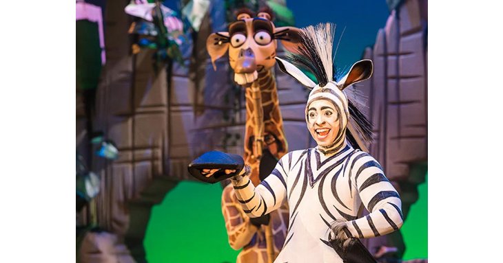 Production photos of the original cast. Join Melman and Marty on their overseas adventure at Malvern Theatres.