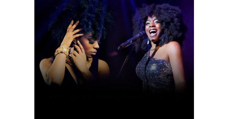 Rock and roll over to Bacon Theatre to see The Tina Turner and Aretha Franklin Story this January.