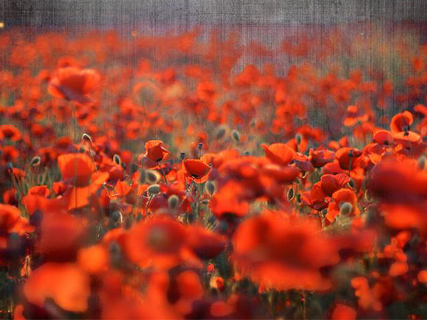 Join The Gloucester Theatre Company on its tour this February.