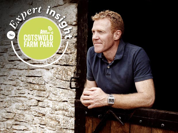 Adam Henson expert insight: Futureproofing my Farm Park 