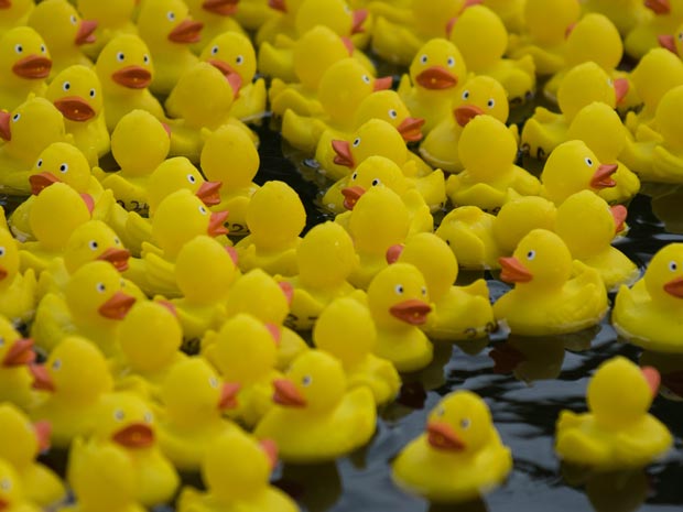 The Annual Rubber Duck Race is back for another year.