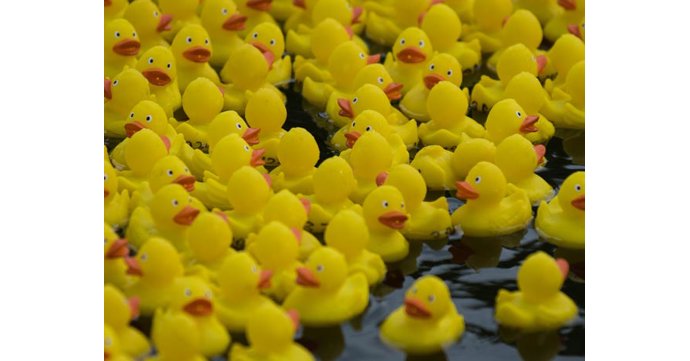 Annual Rubber Duck Race at Pittville Boating Lake