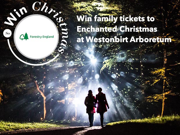 Win family tickets to Enchanted Christmas in SoGlos's Win Christmas competition.