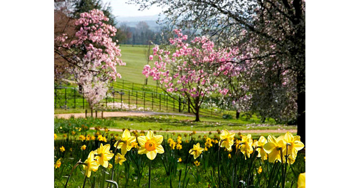 Discover 11 stunning places to admire spring colours in Gloucestershire, including beautiful Batsford Arboretum.