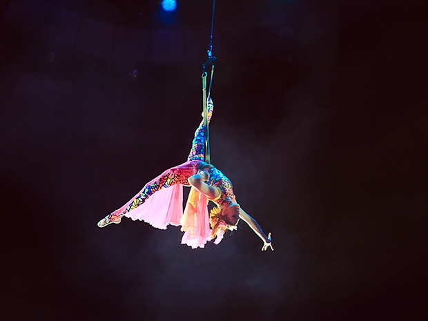 A new circus course is coming to Woodchester Mansion