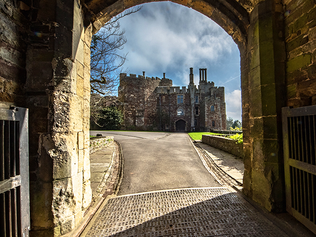 Berkeley Castle reopening week
