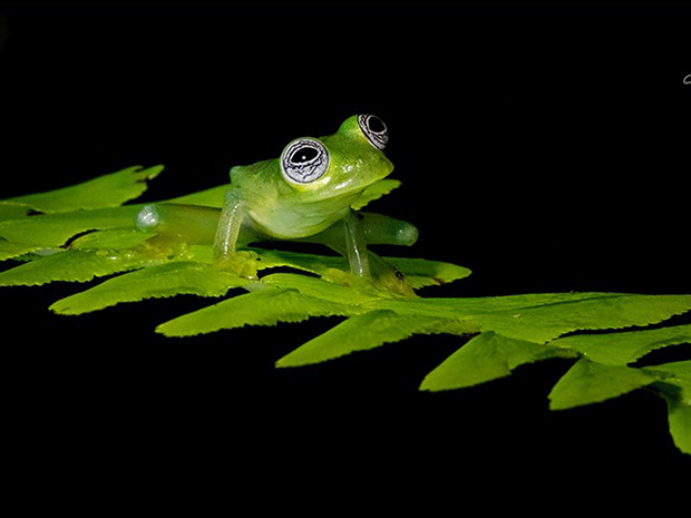 Cobalt Health is raising funds to support teenagers and young adults with cancer through a new photography competition, this April 2021.  Kevin Pascoe Photography